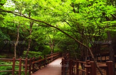 프리진 - 스톡 이미지, 사진, 일러스트, 벡터, 웹디자인. 이미지 사이트