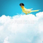 유토이미지 | Parrot in pilot hat 유토이미지 | Parrot in pilot hat 