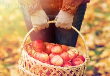 프리진 - 스톡 이미지, 사진, 일러스트, 벡터, 웹디자인. 이미지 사이트