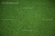 유토이미지 | Close up view of astro turf in crossfit gym