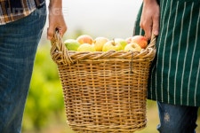 프리진 - 스톡 이미지, 사진, 일러스트, 벡터, 웹디자인. 이미지 사이트