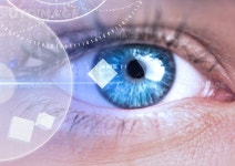 프리진 - 스톡 이미지, 사진, 일러스트, 벡터, 웹디자인. 이미지 사이트