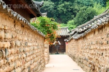 프리진 - 스톡 이미지, 사진, 일러스트, 벡터, 웹디자인. 이미지 사이트