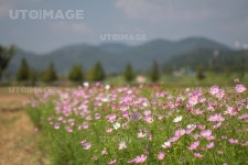 프리진 - 스톡 이미지, 사진, 일러스트, 벡터, 웹디자인. 이미지 사이트
