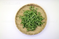 프리진 - 스톡 이미지, 사진, 일러스트, 벡터, 웹디자인. 이미지 사이트