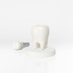 간호 | 유토이미지 검색 결과 간호 | 유토이미지  검색 결과