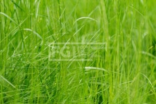 유토이미지 | 유토이미지 | 