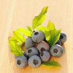 유토이미지 | Blueberry with leafs on wooden table