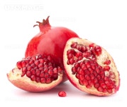 프리진 - 스톡 이미지, 사진, 일러스트, 벡터, 웹디자인. 이미지 사이트
