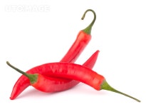유토이미지 | Hot red chili or chilli pepper still life isolated on white cutout