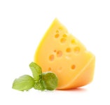 유토이미지 | Cheese and basil leaves isolated on white cutout