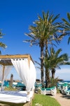 유토이미지 | Ibiza Platja En bossa beach with palm trees a party landmark