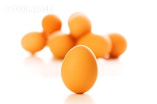 유토이미지 | Brown egg on white - shallow depth of field