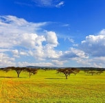Kenyan landscapes | 유토이미지 | 상세페이지 | 베이직샵 | 사진 | 19834489