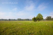 유토이미지 | grassland