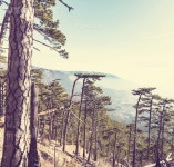 유토이미지 | Crimean mountain