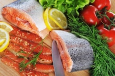 프리진 - 스톡 이미지, 사진, 일러스트, 벡터, 웹디자인. 이미지 사이트