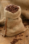 유토이미지 | Roasted coffee beans in jute sack on wooden background
