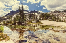 프리진 - 스톡 이미지, 사진, 일러스트, 벡터, 웹디자인. 이미지 사이트