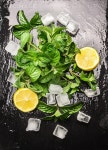유토이미지 | lemon
