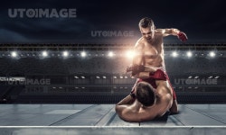 프리진 - 스톡 이미지, 사진, 일러스트, 벡터, 웹디자인. 이미지 사이트