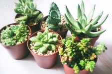 프리진 - 스톡 이미지, 사진, 일러스트, 벡터, 웹디자인. 이미지 사이트