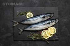 프리진 - 스톡 이미지, 사진, 일러스트, 벡터, 웹디자인. 이미지 사이트