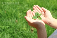 프리진 - 스톡 이미지, 사진, 일러스트, 벡터, 웹디자인. 이미지 사이트