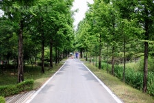 프리진 - 스톡 이미지, 사진, 일러스트, 벡터, 웹디자인. 이미지 사이트