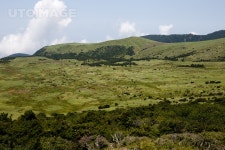 프리진 - 스톡 이미지, 사진, 일러스트, 벡터, 웹디자인. 이미지 사이트