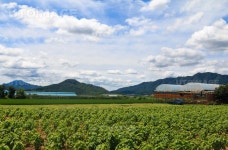 프리진 - 스톡 이미지, 사진, 일러스트, 벡터, 웹디자인. 이미지 사이트