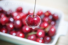 프리진 - 스톡 이미지, 사진, 일러스트, 벡터, 웹디자인. 이미지 사이트
