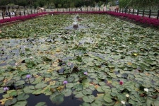 프리진 - 스톡 이미지, 사진, 일러스트, 벡터, 웹디자인. 이미지 사이트