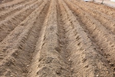 유토이미지 | 주말농장의 텃밭