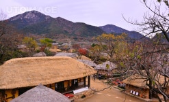 프리진 - 스톡 이미지, 사진, 일러스트, 벡터, 웹디자인. 이미지 사이트