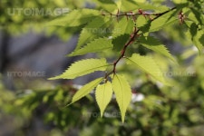 프리진 - 스톡 이미지, 사진, 일러스트, 벡터, 웹디자인. 이미지 사이트