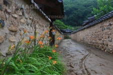 프리진 - 스톡 이미지, 사진, 일러스트, 벡터, 웹디자인. 이미지 사이트