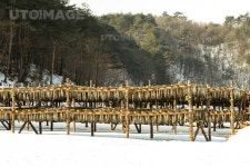 프리진 - 스톡 이미지, 사진, 일러스트, 벡터, 웹디자인. 이미지 사이트