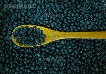 유토이미지 | 검은콩 대두 흑태 서리태