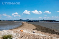 프리진 - 스톡 이미지, 사진, 일러스트, 벡터, 웹디자인. 이미지 사이트