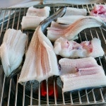 프리진 - 스톡 이미지, 사진, 일러스트, 벡터, 웹디자인. 이미지 사이트