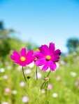파란 | 유토이미지 검색 결과 파란 | 유토이미지  검색 결과