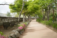 프리진 - 스톡 이미지, 사진, 일러스트, 벡터, 웹디자인. 이미지 사이트