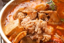 프리진 - 스톡 이미지, 사진, 일러스트, 벡터, 웹디자인. 이미지 사이트