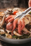 프리진 - 스톡 이미지, 사진, 일러스트, 벡터, 웹디자인. 이미지 사이트