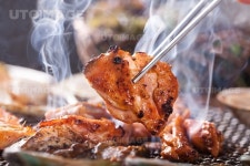 프리진 - 스톡 이미지, 사진, 일러스트, 벡터, 웹디자인. 이미지 사이트