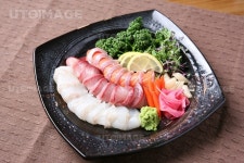 프리진 - 스톡 이미지, 사진, 일러스트, 벡터, 웹디자인. 이미지 사이트