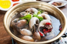 프리진 - 스톡 이미지, 사진, 일러스트, 벡터, 웹디자인. 이미지 사이트