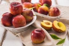 프리진 - 스톡 이미지, 사진, 일러스트, 벡터, 웹디자인. 이미지 사이트