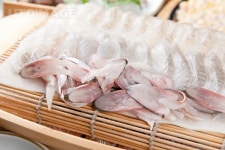 프리진 - 스톡 이미지, 사진, 일러스트, 벡터, 웹디자인. 이미지 사이트